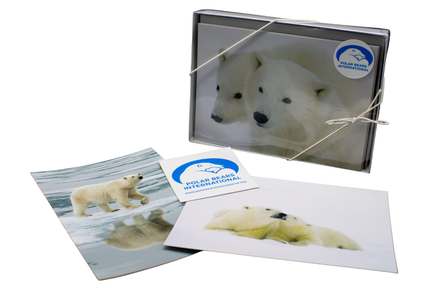 A polar walking on land with the text, "Shop Gifts"