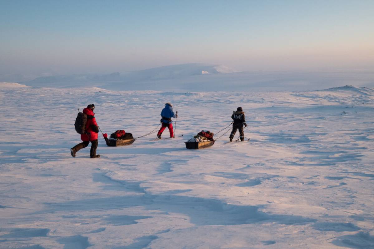 Researchers pull sleds with camera gear and other equipment to a polar bear den site