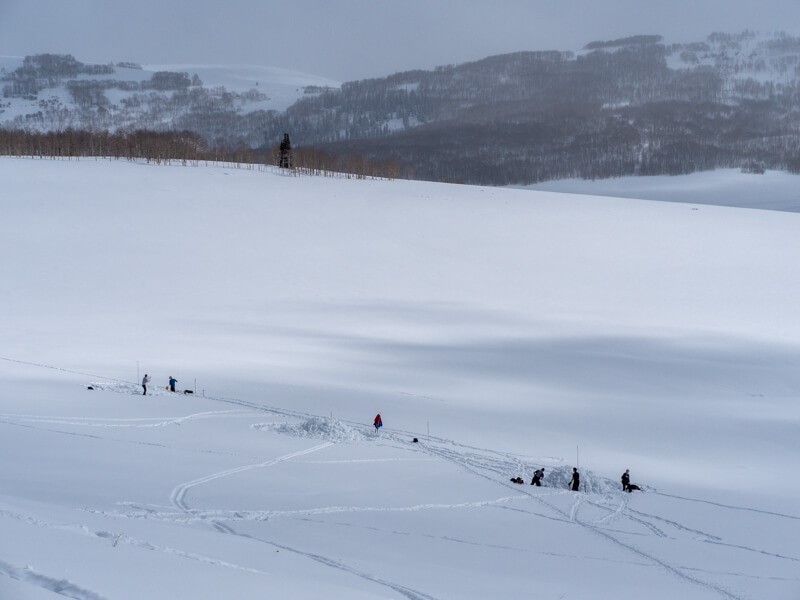 Researchers construct artificial polar bear dens for testing