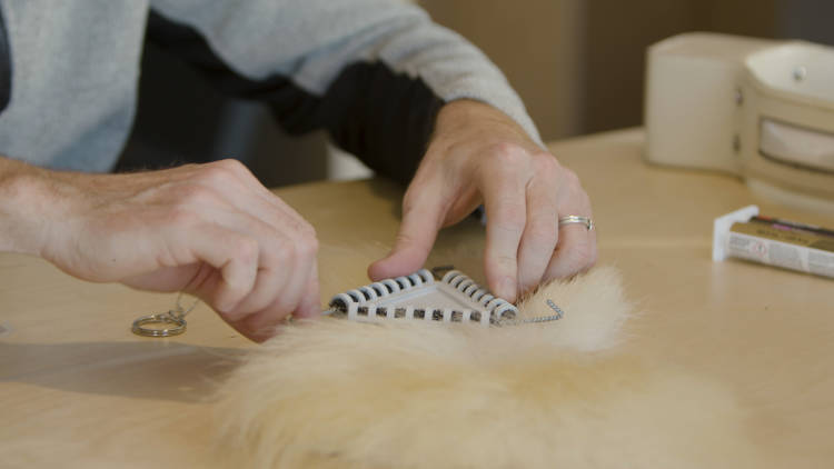 A burr on fur tracker is attached to a model piece of polar bear fur