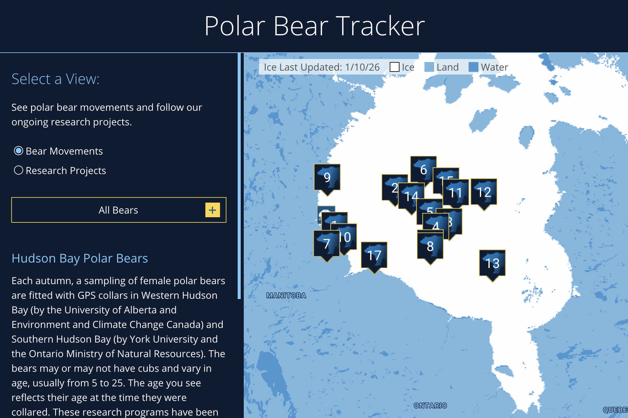 The fall/winter 2026 polar bear tracker map
