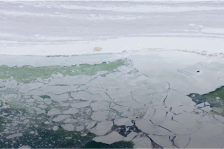 Arctic sea ice aerial view on a foggy day