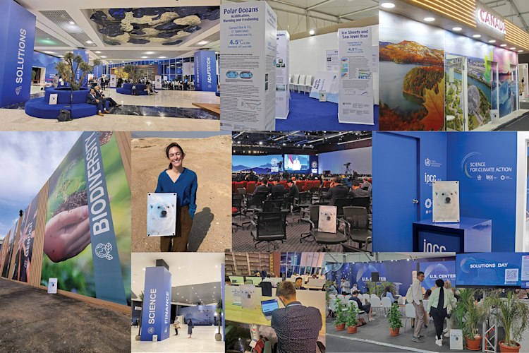 Highlights from Emily Ringer's COP27 trip in Egypt.