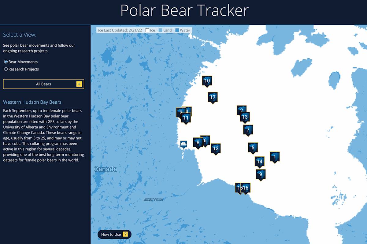 The polar bear tracker map as of May 25, 2022