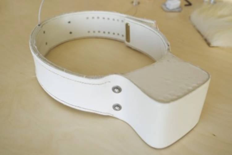 Polar bear tracking collar