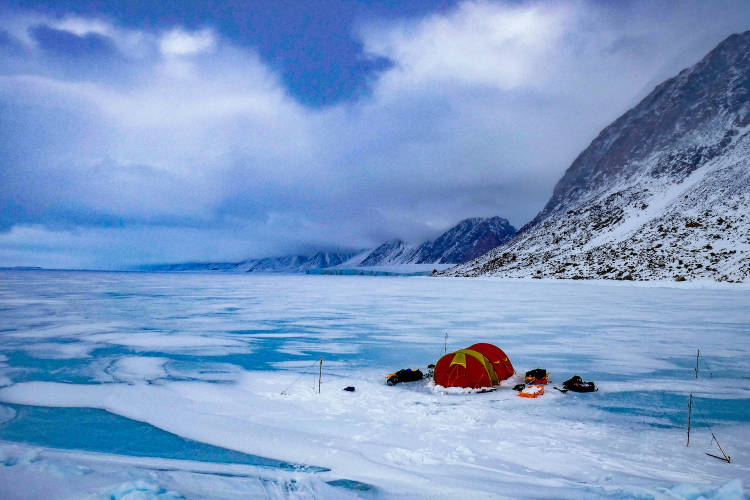 A tent camp set up on the sea ice with a polar bear fence