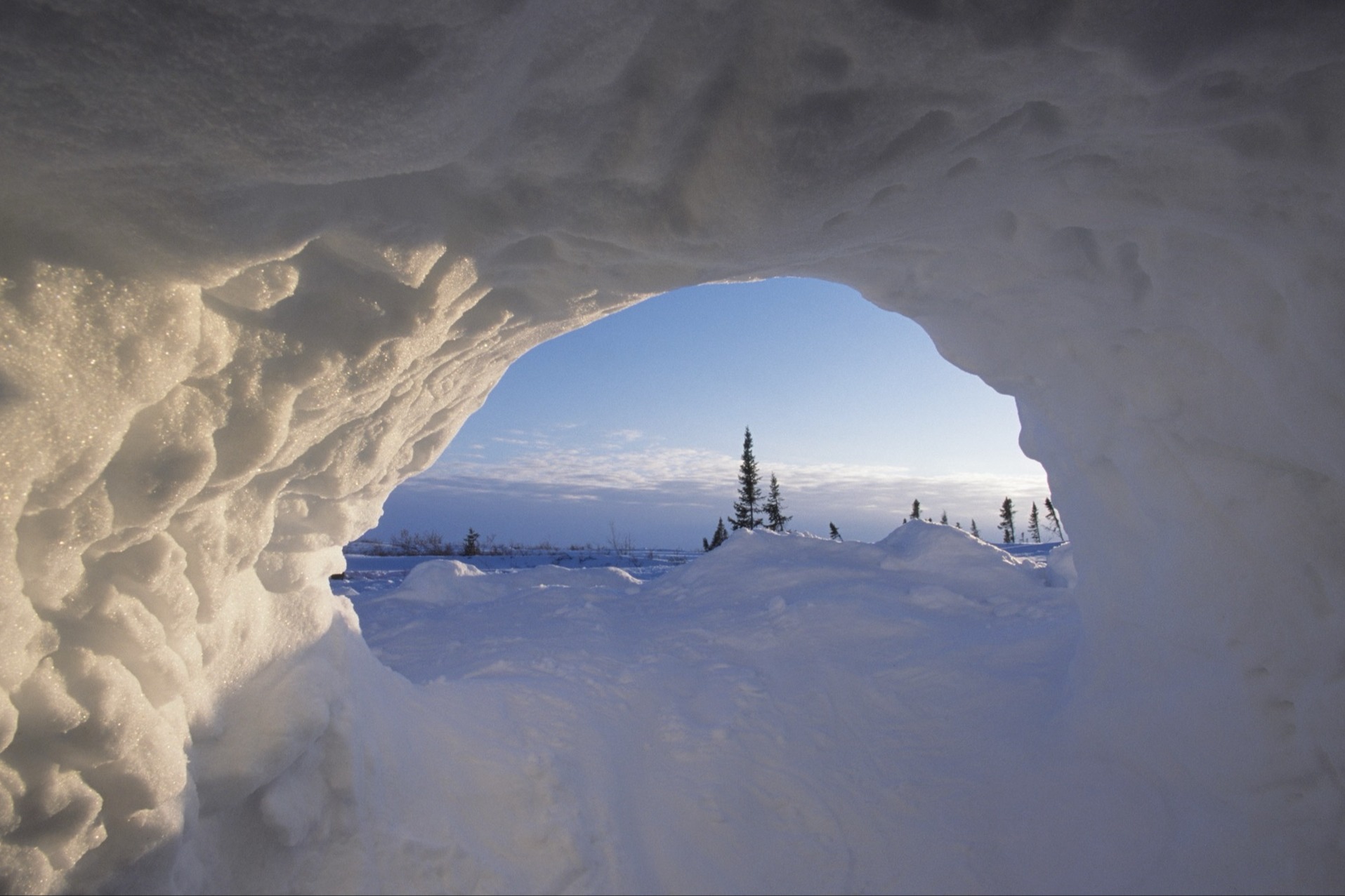 Inside of a polar bear den looking out at the landscape 