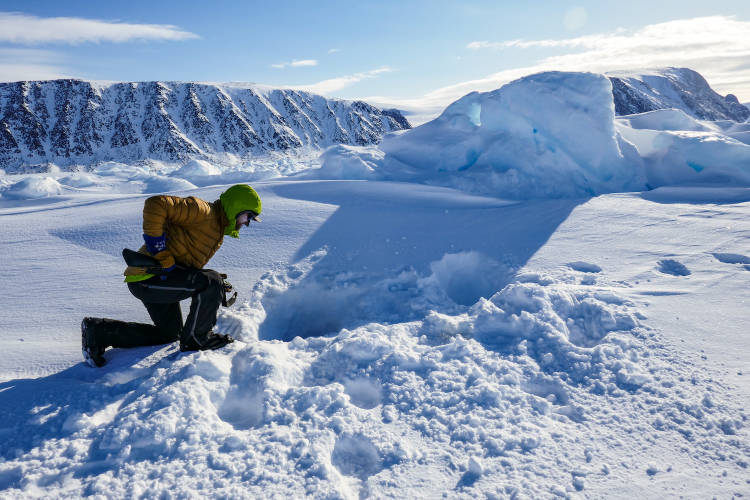 John McClelland cautiously investigates a maternal ringed seal den