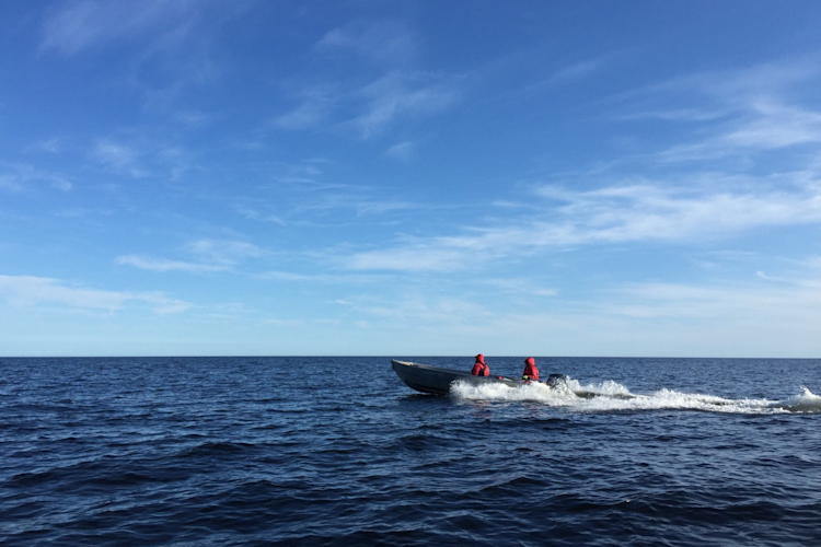 Wemindji field crew headed to check sampling stations on an island in James Bay