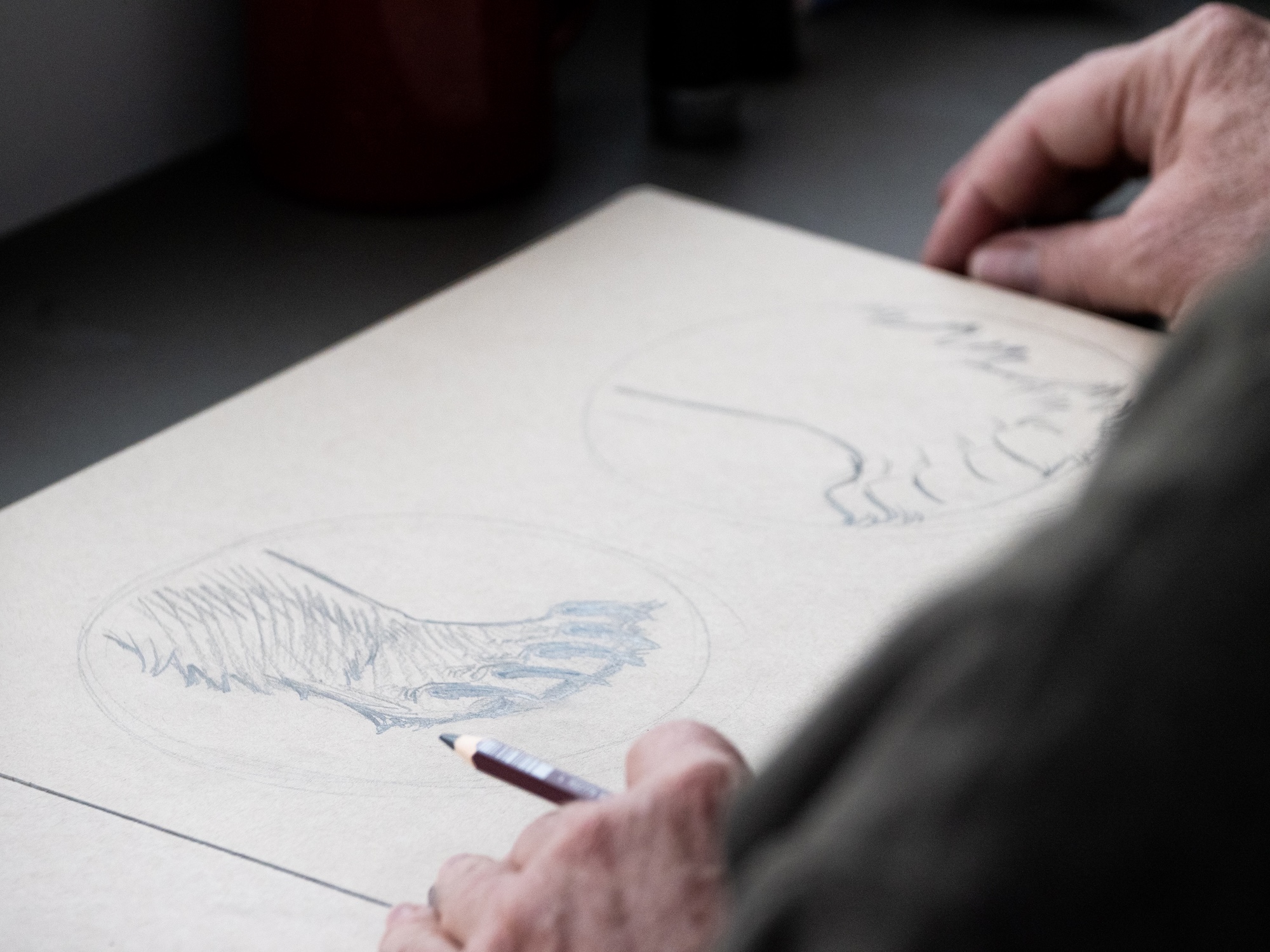 Aaron Blaise drawing depicting polar bear vs brown bear paws