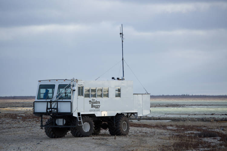 Polar Bear International's Tundra Buggy One