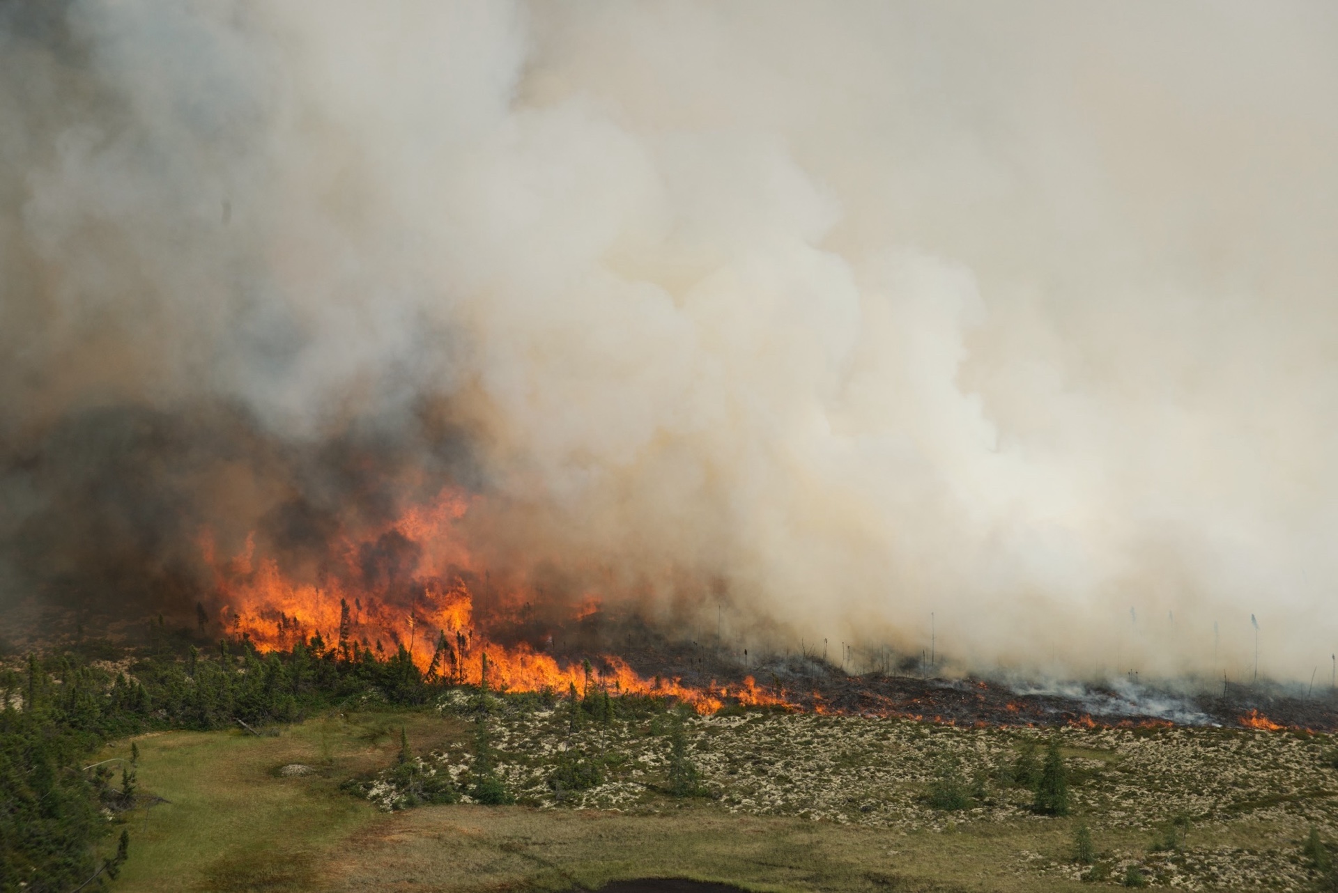 Wildfire burns through polar bear denning habitat in Manitoba
