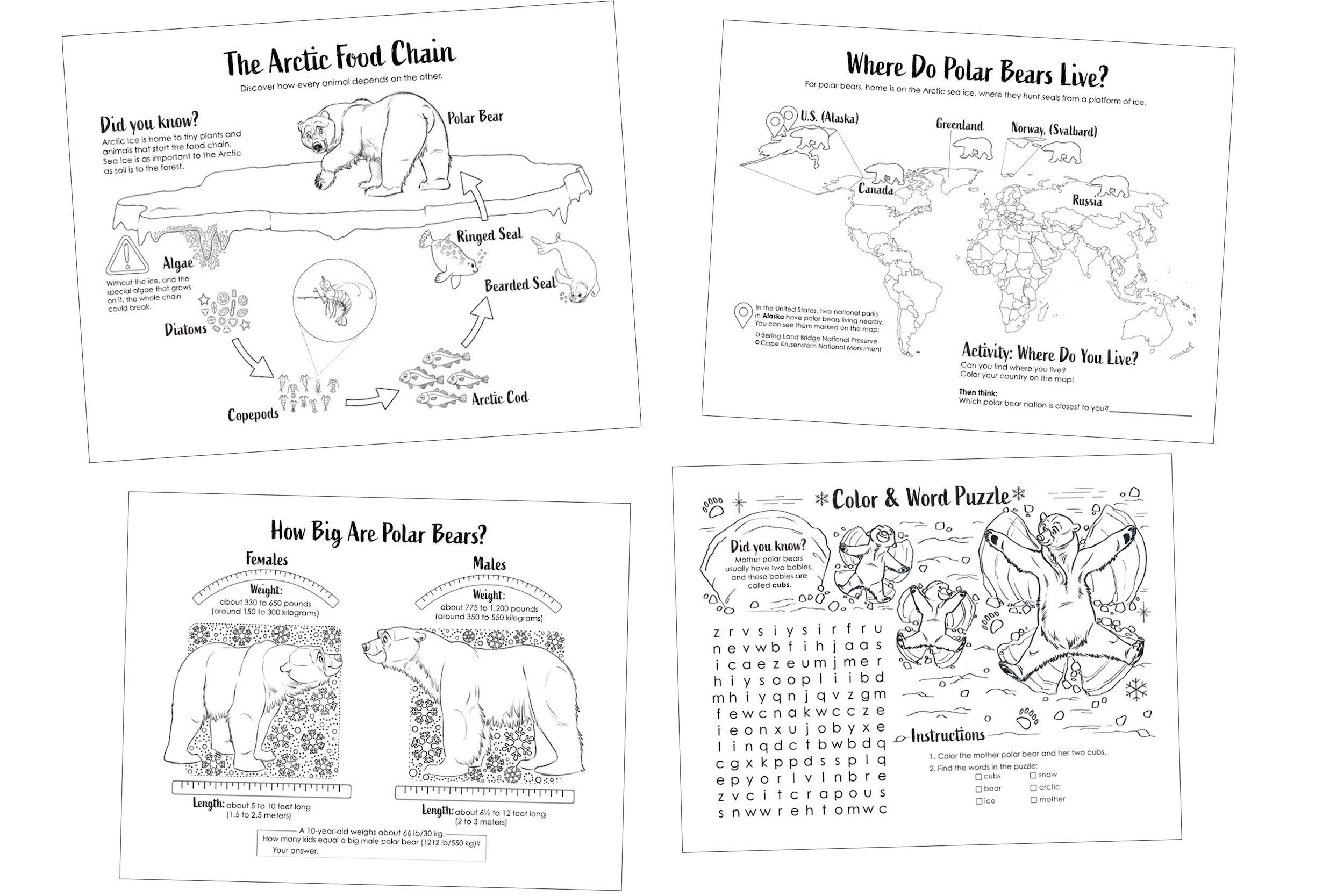 Collage of coloring pages for Snow Bear