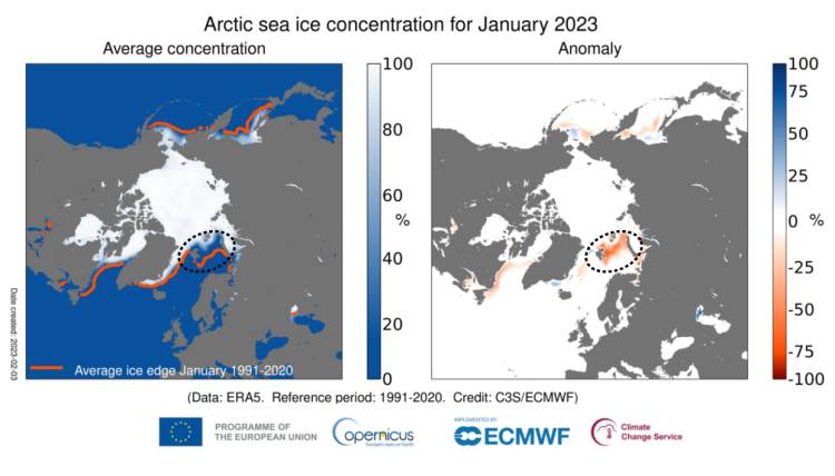 January 2023 sea ice map showing the sea ice extent in the Arctic and in Svalbard