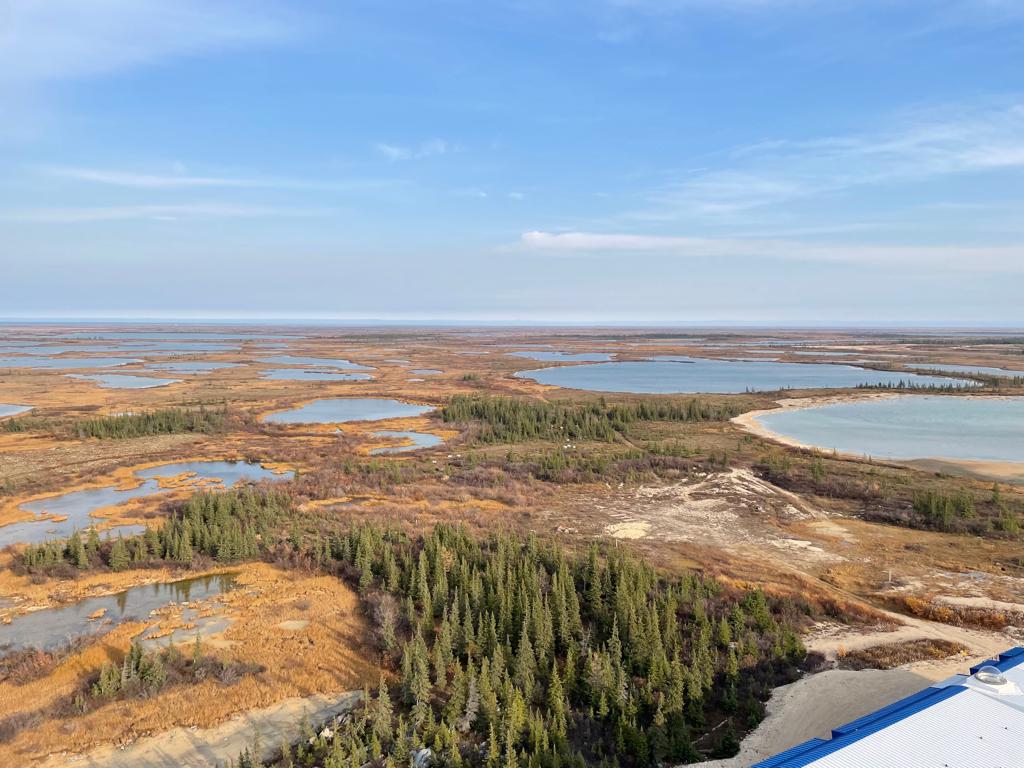 Churchill tundra with no snow