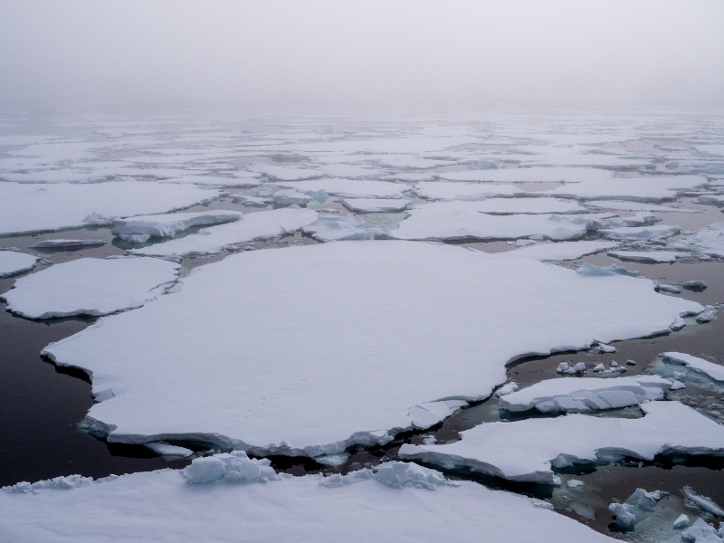scene of large pieces fo ice floating image