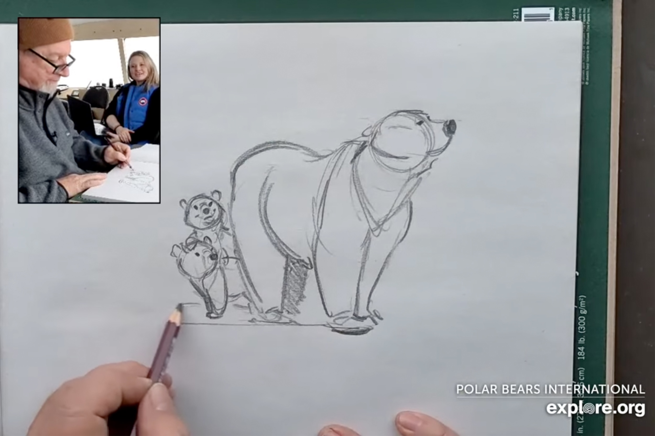 Aaron Blaise live drawing polar bear mom and cubs on the tundra during Tundra Connections broadcast