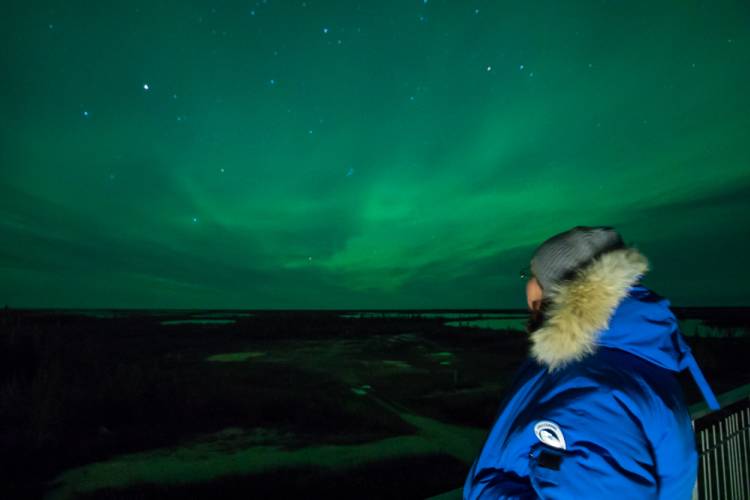 PBI's Marissa Krouse below the northern lights in Churchill