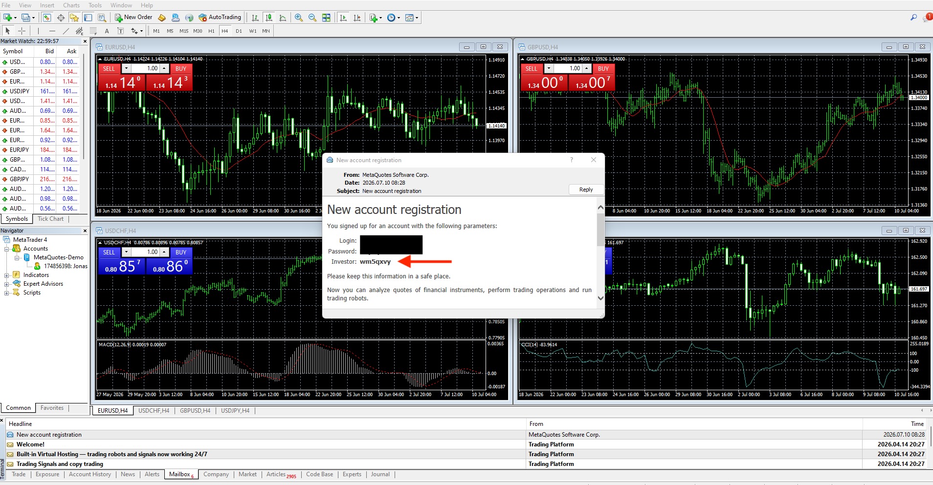 MT4 Investor password screenshot