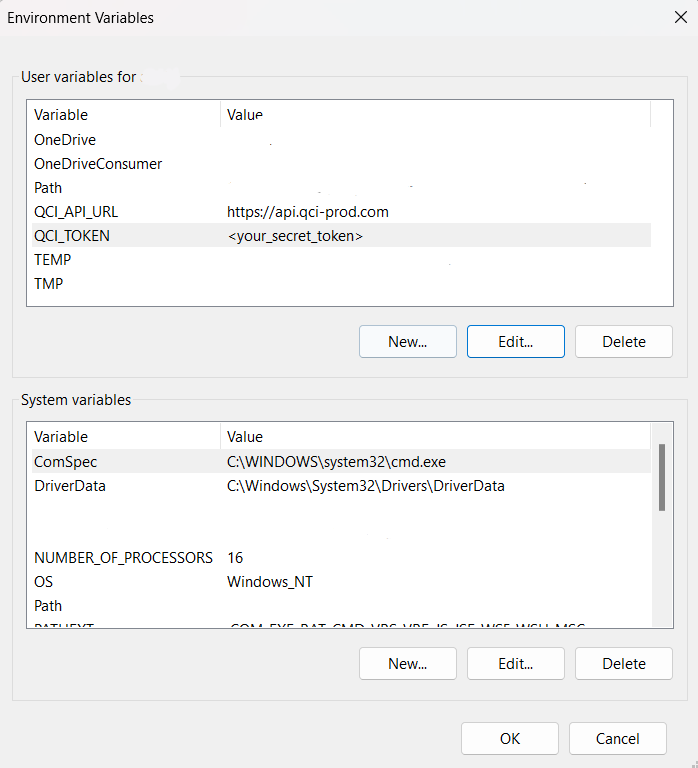 Windows Environment Variables