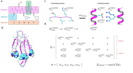 Entropy quantum computing for fixed-backbone protein design
