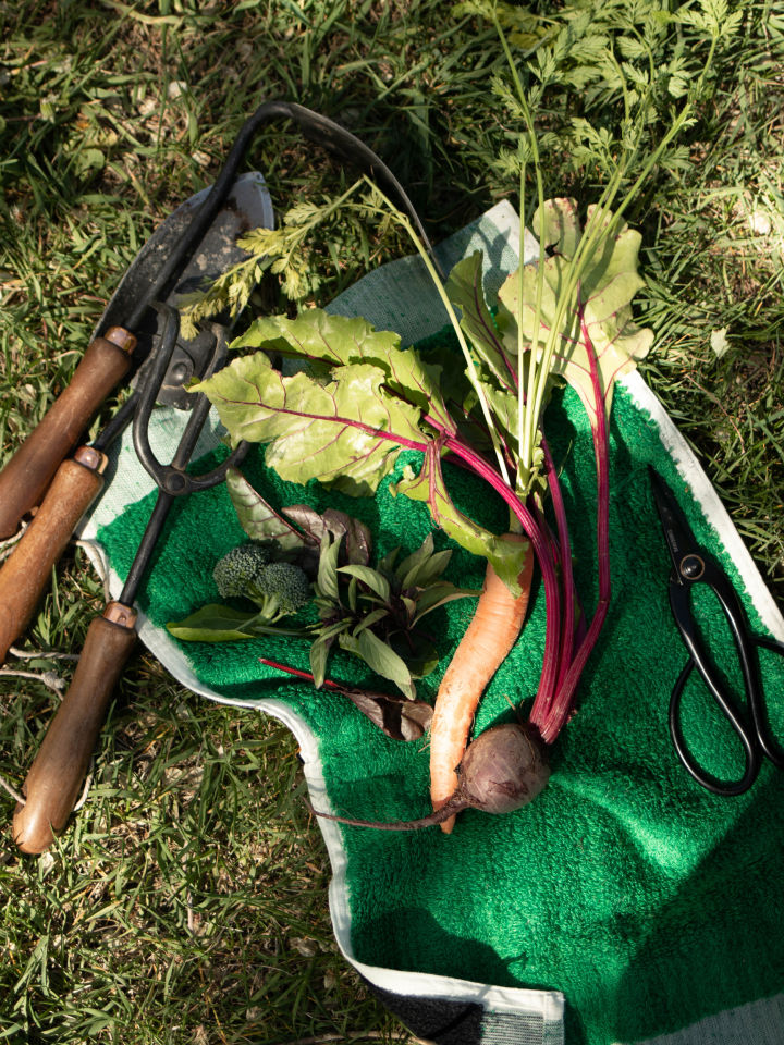 Légumes et herbes frais du jardin de Brianne, récoltés à l'aide de la houe carrée Barebones, de la bêche à main, de la truelle à main et du sécateur artisanal.