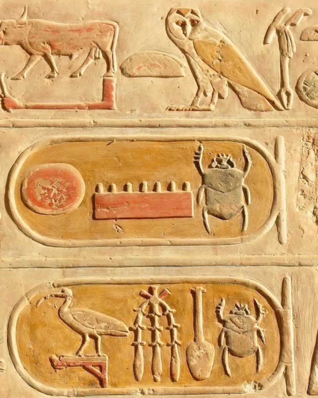 Yellow Hieroglyphs