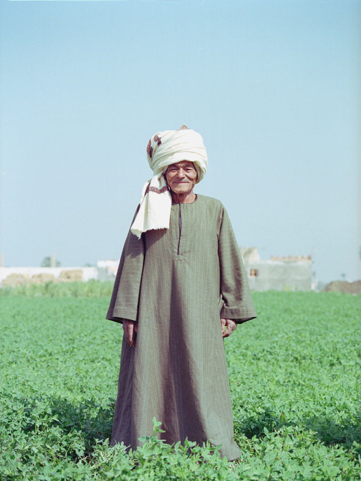 Hussein, l'un des agriculteurs de Kotn à Faiyum, en Égypte.