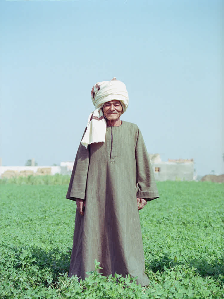 Hussein, one of Kotn’s farmers in Faiyum, Egypt.