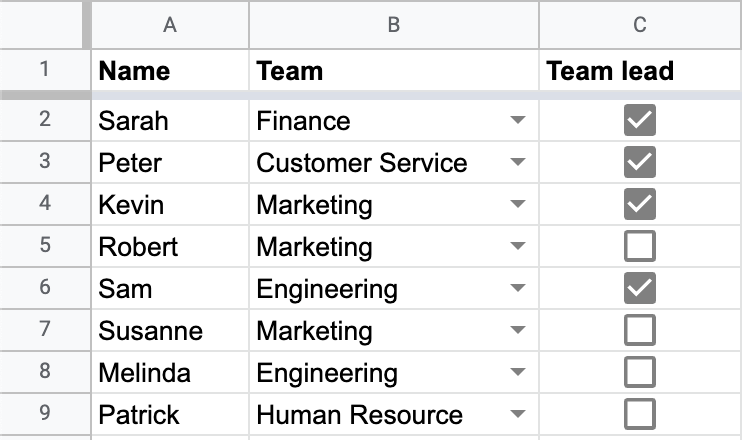 OKR template - defining the team members and team leads