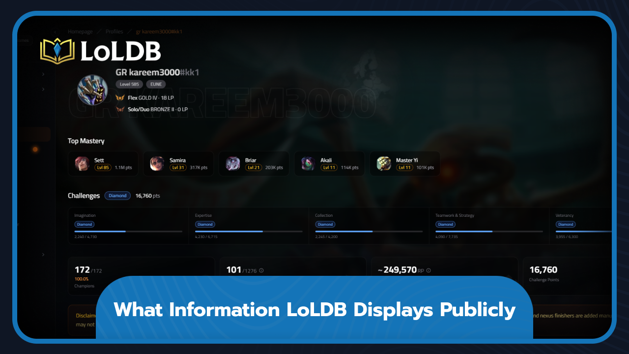 What Information LoLDB Displays Publicly