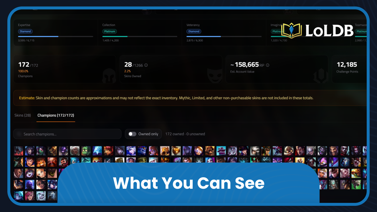 What You Can See on a LoLDB Profile