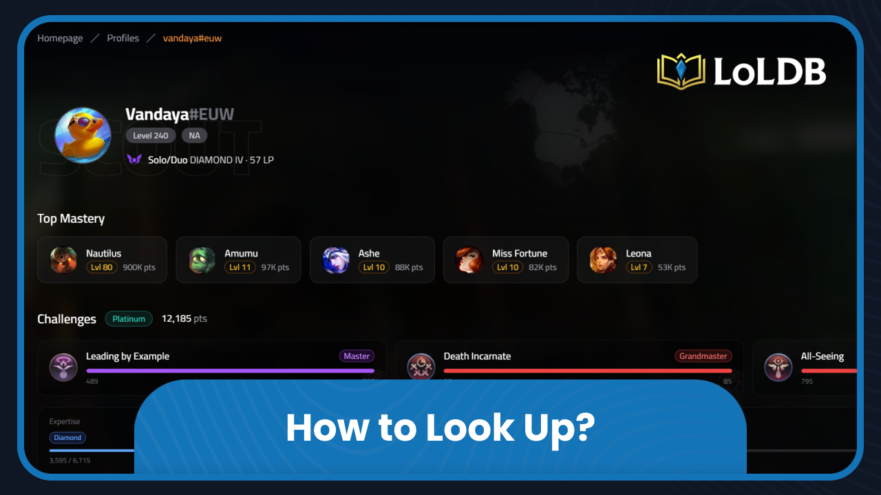 How to Look Up a Player's Profile on LoLDB