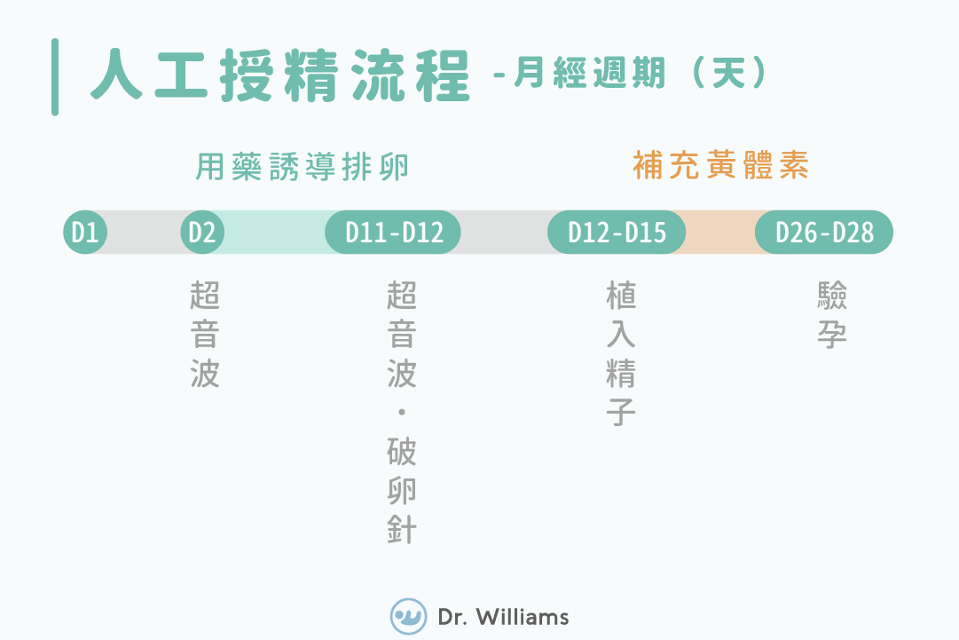 人工受孕、試管嬰兒比較！人工生殖費用、流程、成功率！