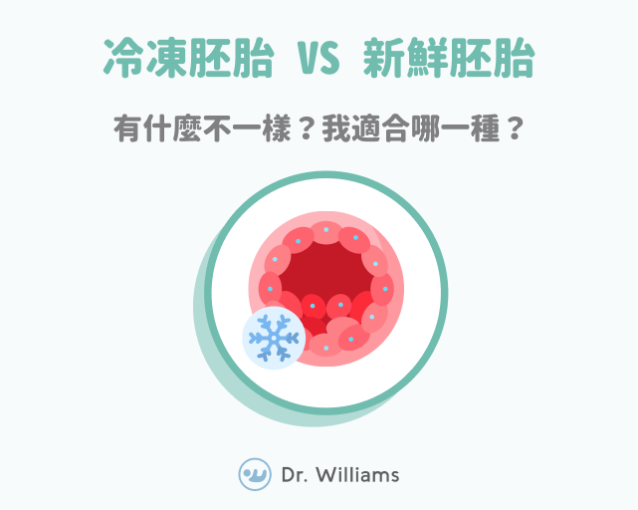 冷凍胚胎VS新鮮胚胎差異在哪？我適合哪一種？