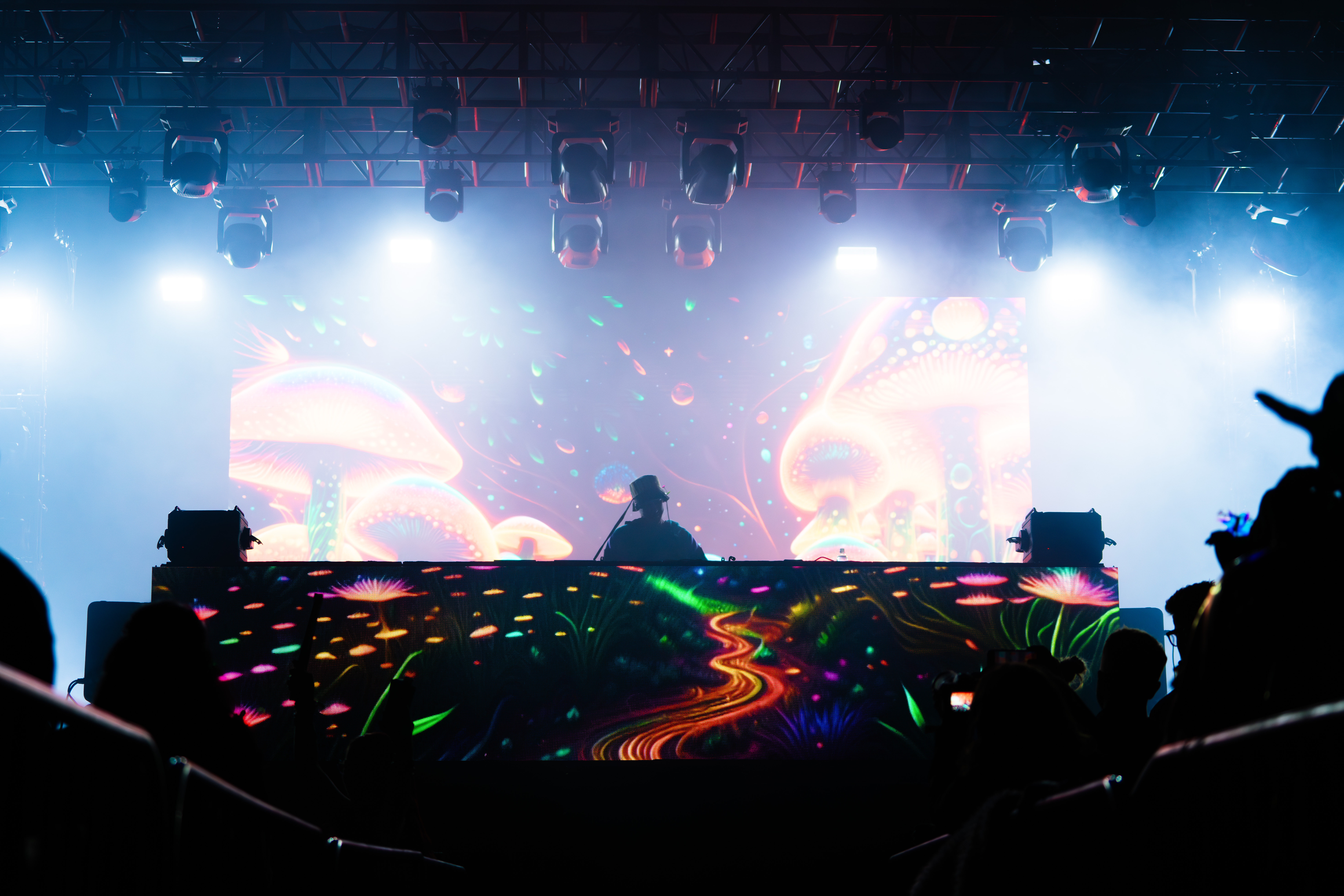 LSDream-2