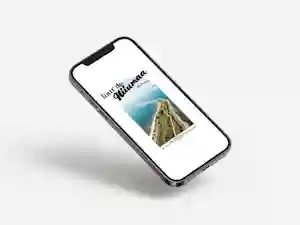 design_media
