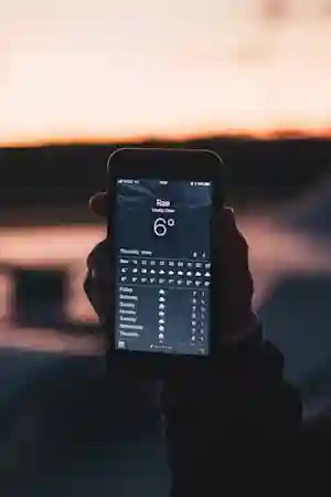 other_media