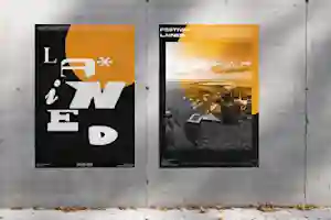 design_media
