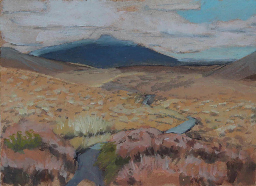 Yellow plains