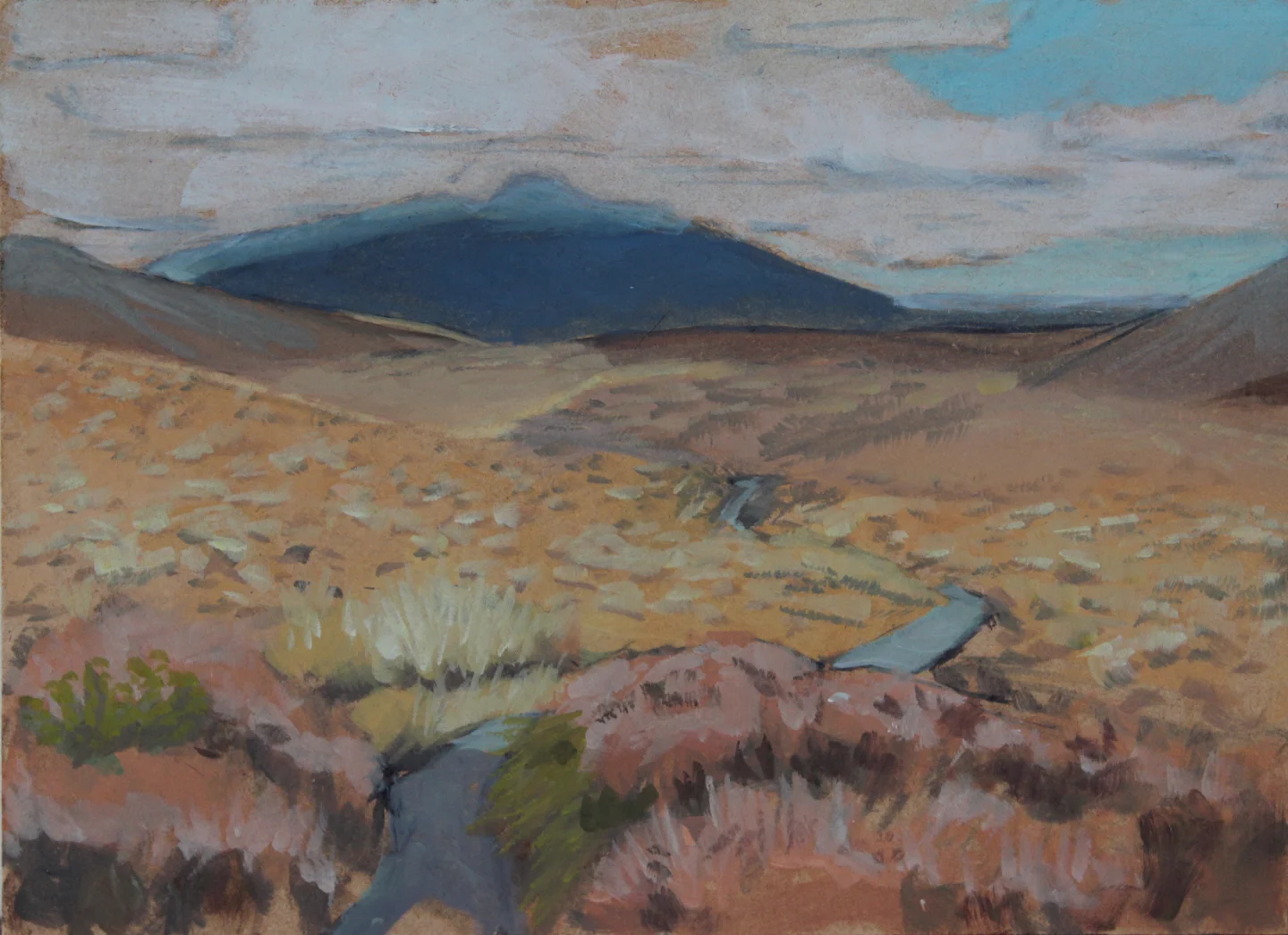 Yellow plains