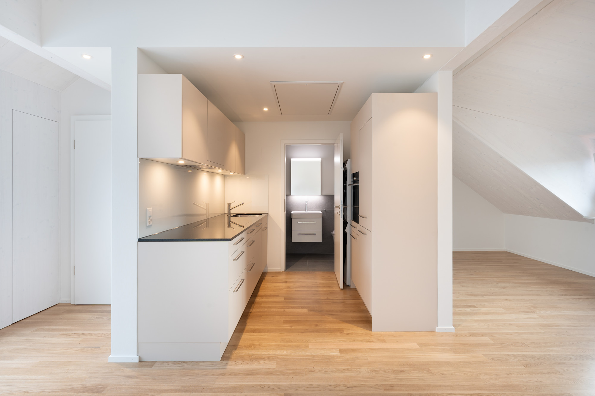 Basel Riehenstrasse 125 07 v2