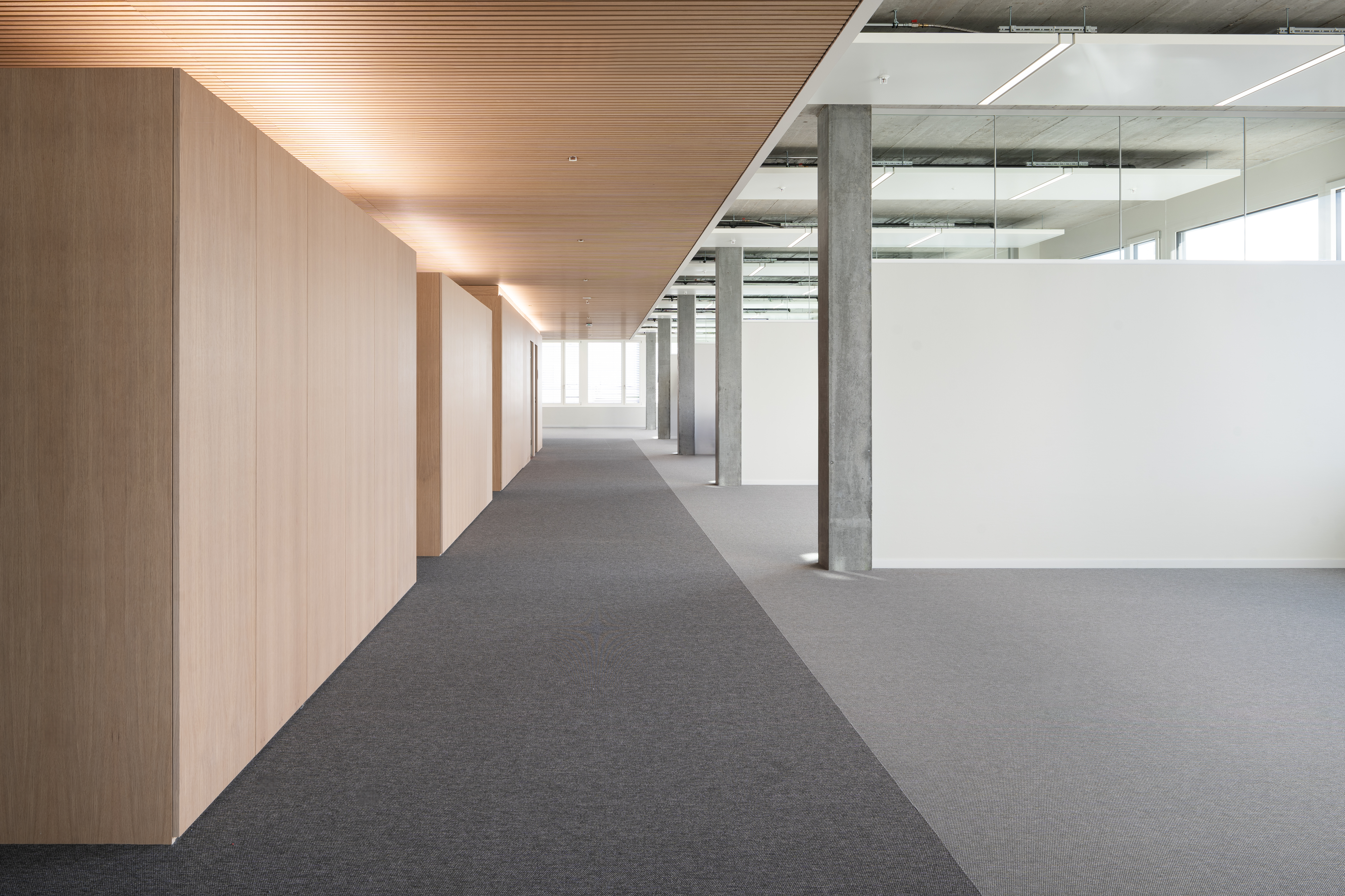 Basel SYD Warteck Invest 02