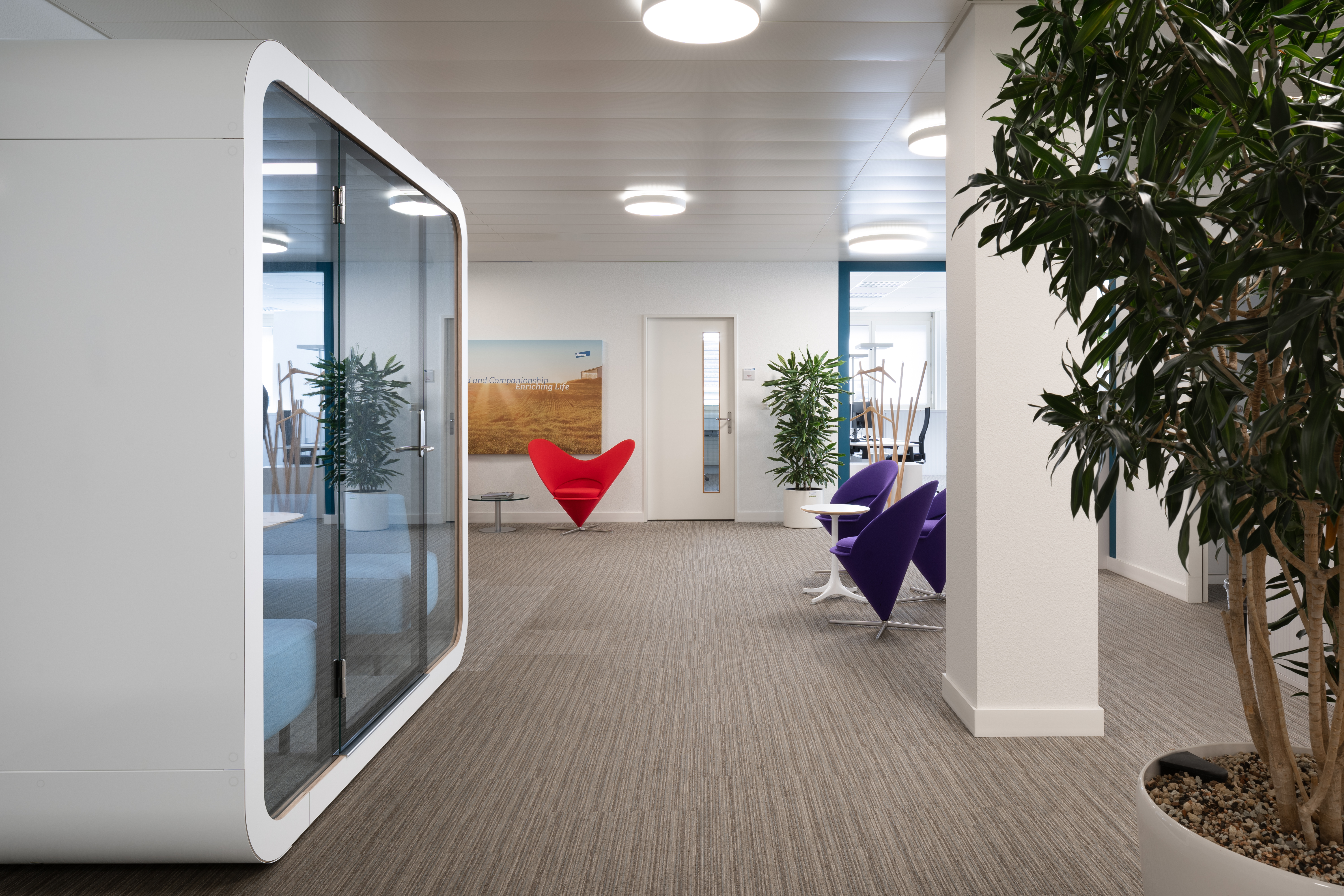 Elanco Anmimal Health-12