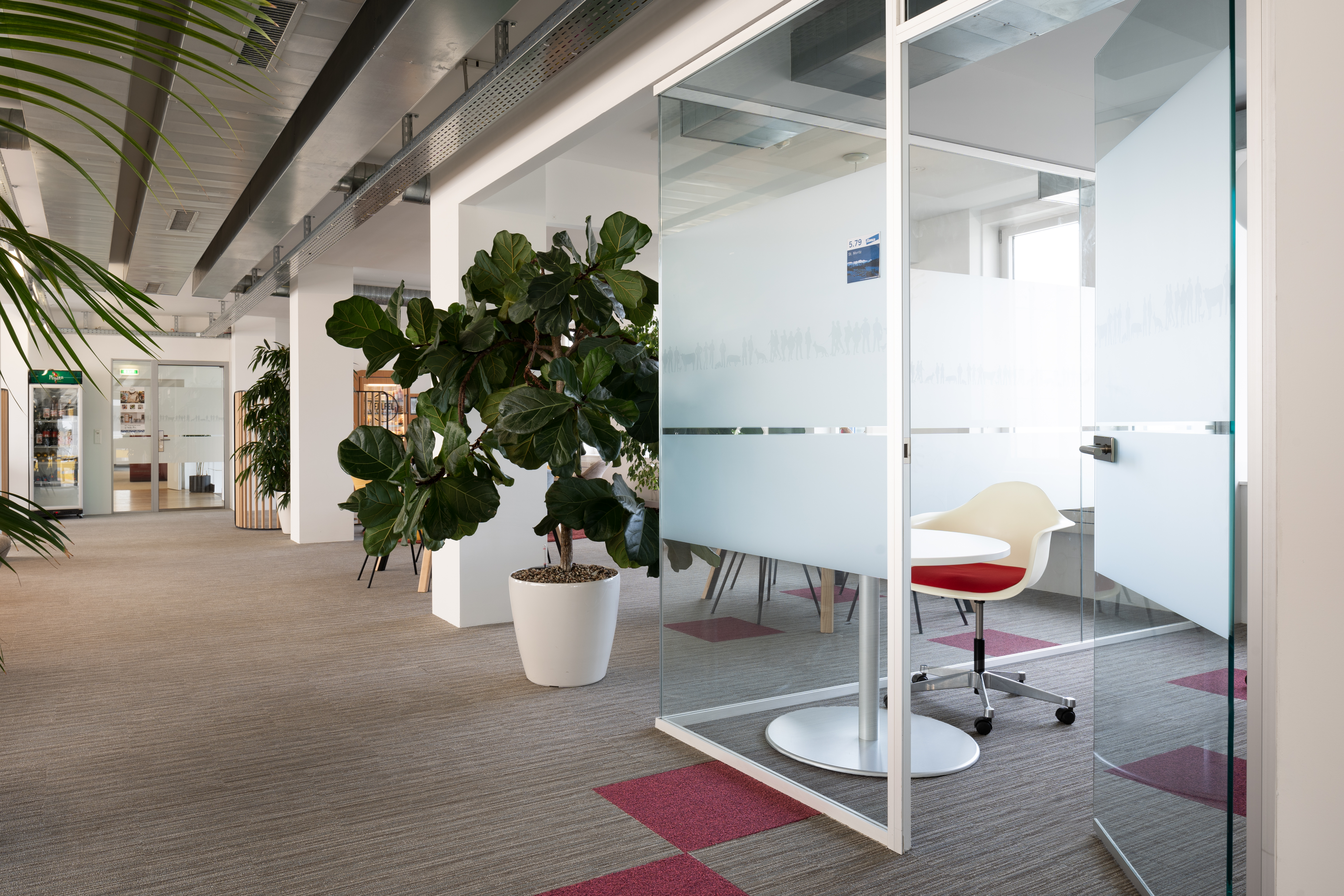 Elanco Anmimal Health-7