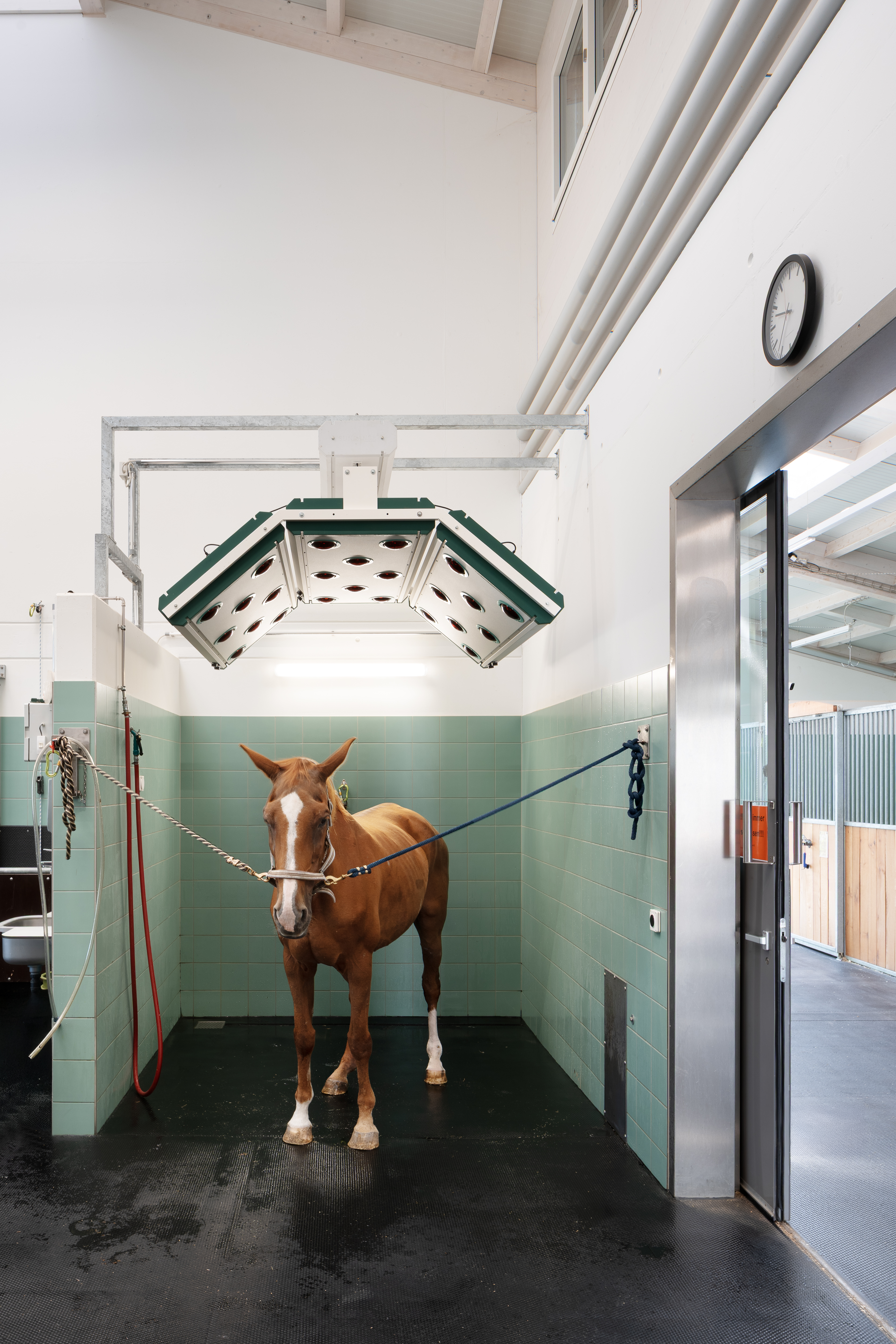 Nic Hahne DALCHENHOF-2(1)