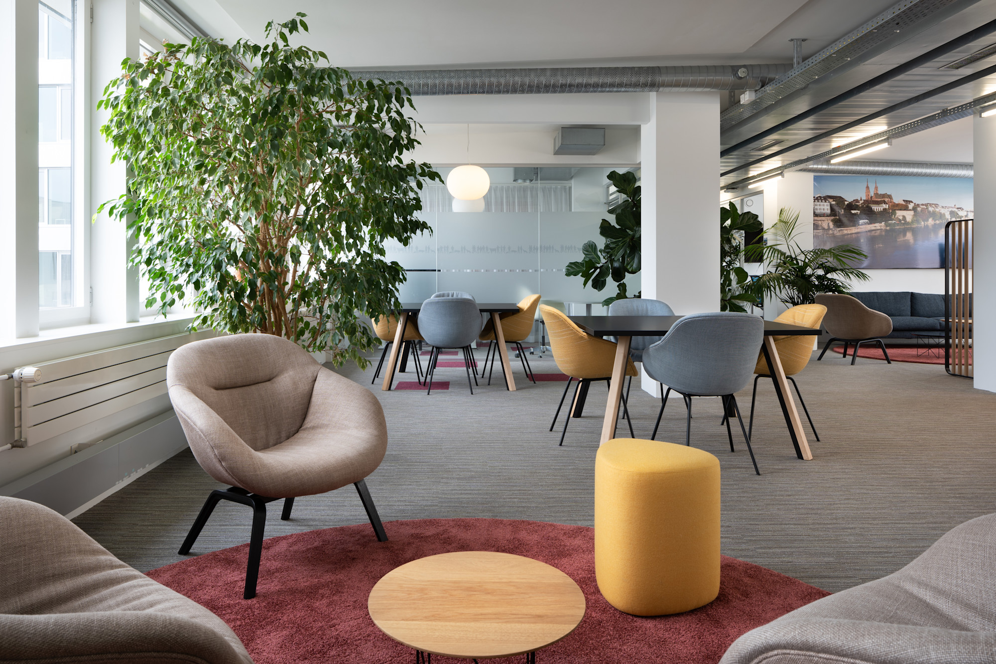 Elanco Anmimal Health-4