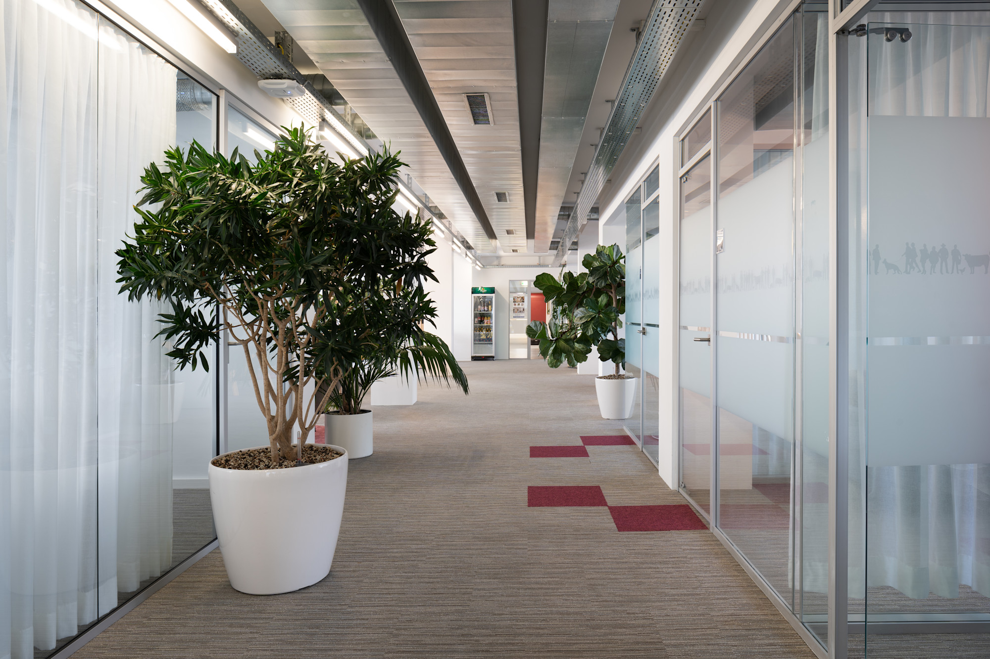 Elanco Anmimal Health-1