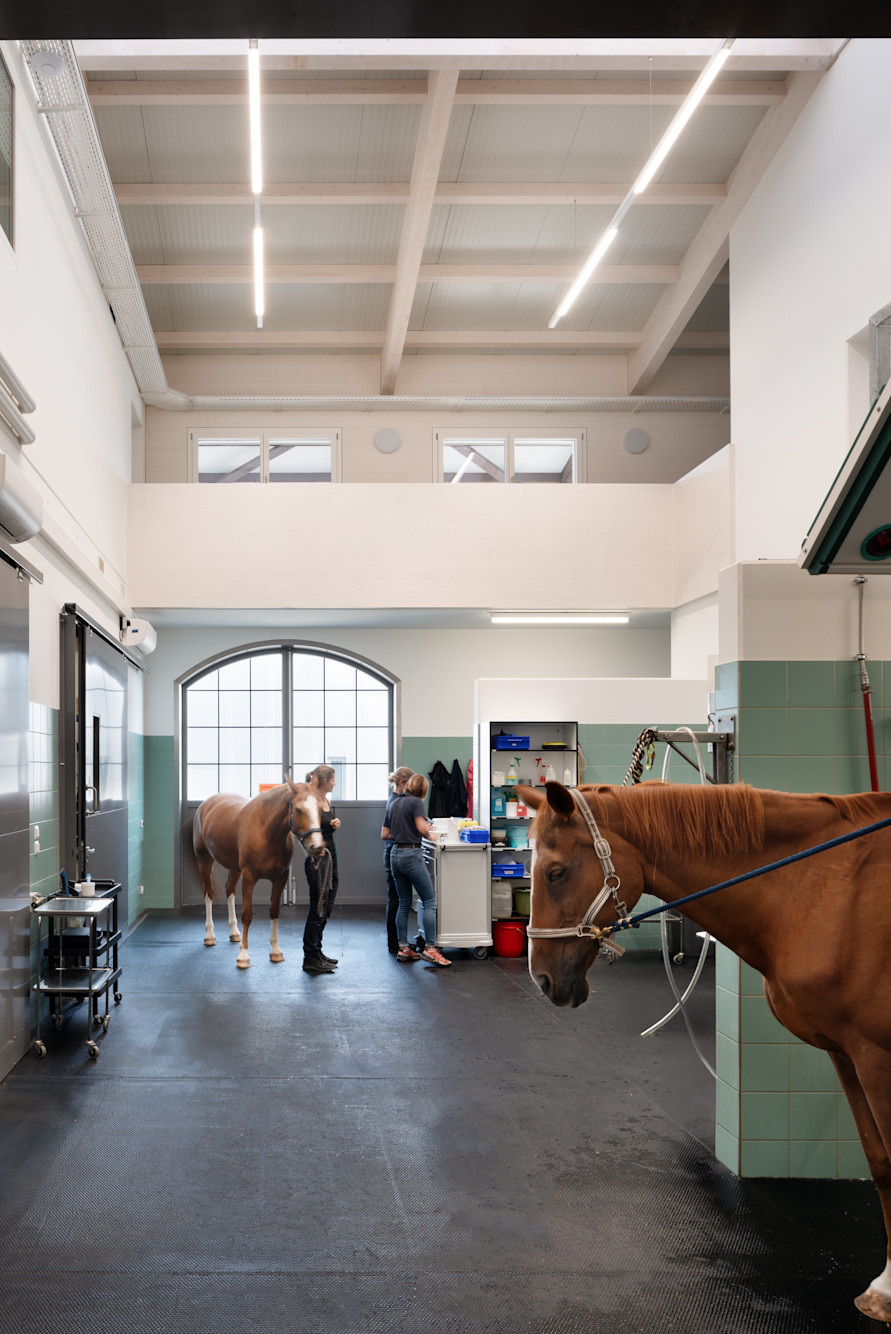 Nic Hahne DALCHENHOF-3(1)