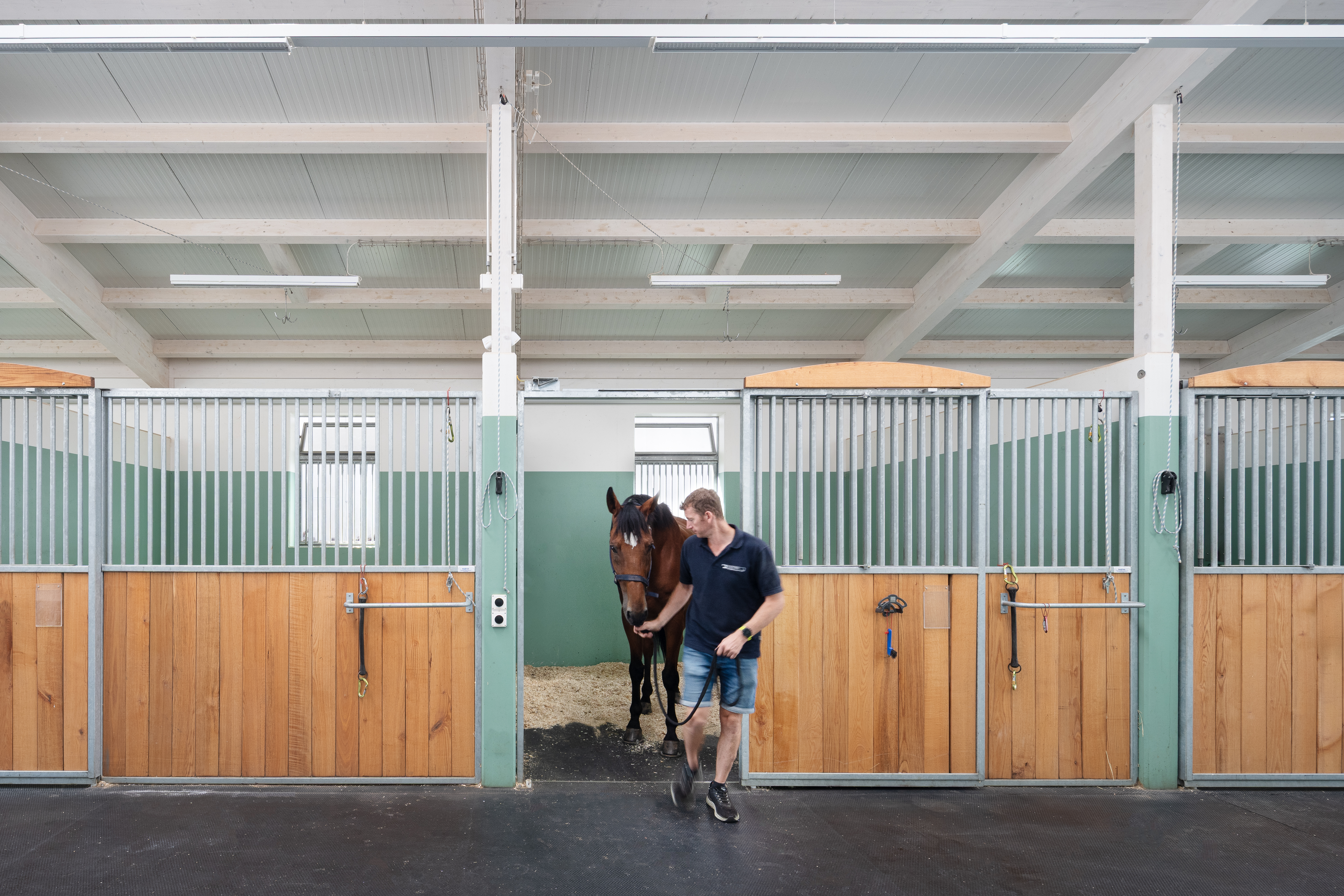 Nic Hahne DALCHENHOF-6(1)